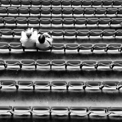 Football Supporters - Cost of Watching Football - popular STAND