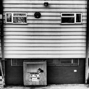 A programme seller outside Yeovil Town's Huish Park stadium.