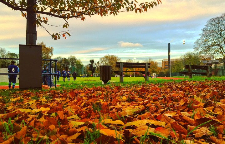 2017-18 21 Lewisham Borough 4-5 Stansfeld (1)