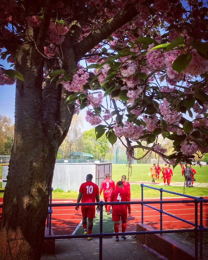 The Lewisham players enter the field beneath tree blossoms ahead of the second half of the Ladywell-classico in Southern Counties League Division One