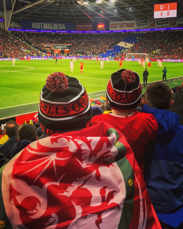 Wales fans watch on during the Euro 2020 qualifier against Hungary