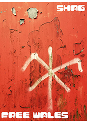 Shag Wrexham fanzine