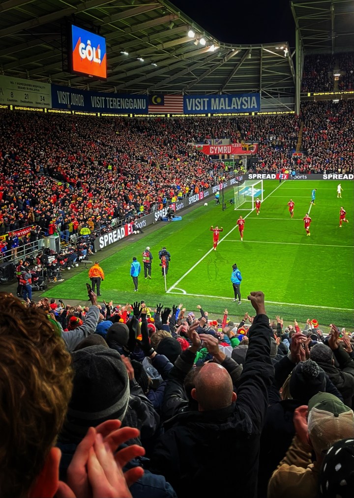 Wales fans go crazy as down on the field their players celebrate another goal in their 7-1 win over North Macedonia.